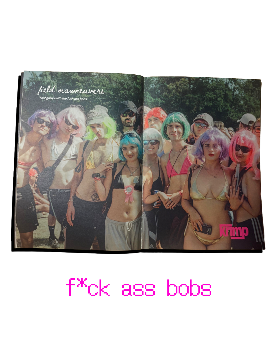 Feature placeholder: Pascal